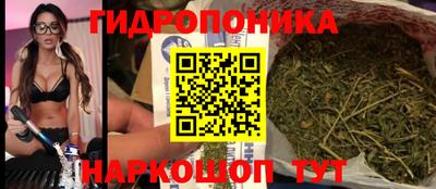 крисы Бугуруслан