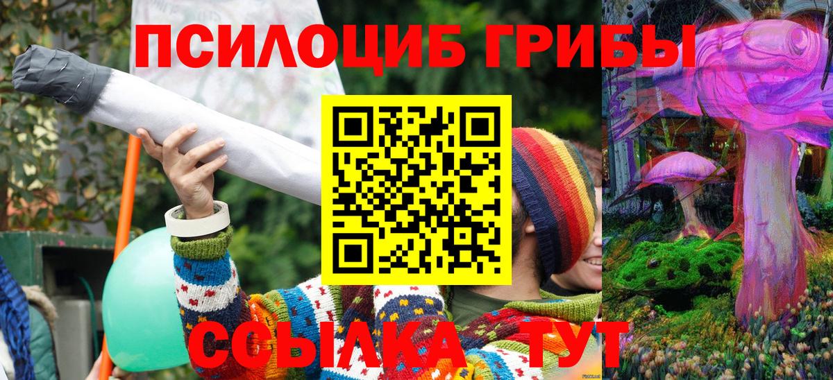 Псилоцибиновые грибы Magic Shrooms Тулун