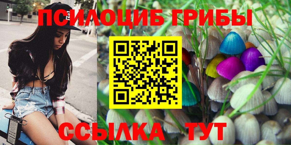 Тулун  Псилоцибиновые грибы MAGIC MUSHROOMS  Галлюциногенные грибы GOLDEN TEACHER  Вход с VPN 